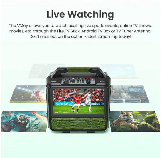 Portable Entertainment System